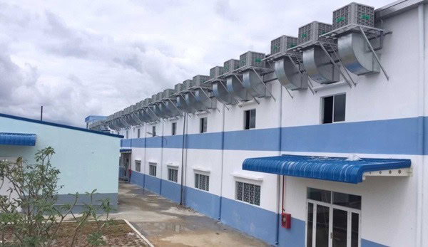 hệ thống làm mát nhà xưởng bằng hơi nước